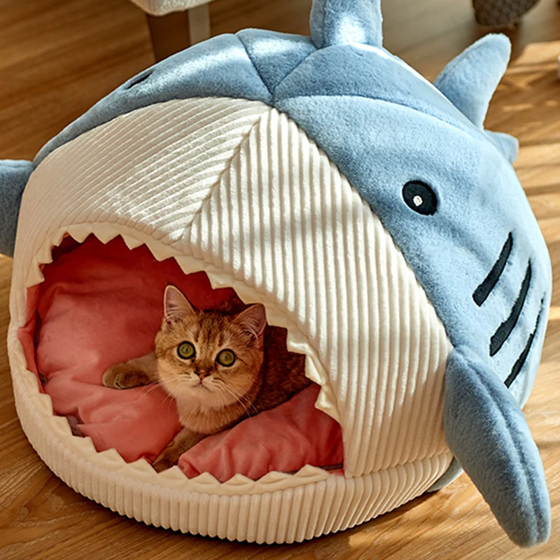 Caminha para gatinhos - Baby Shark - Image 2