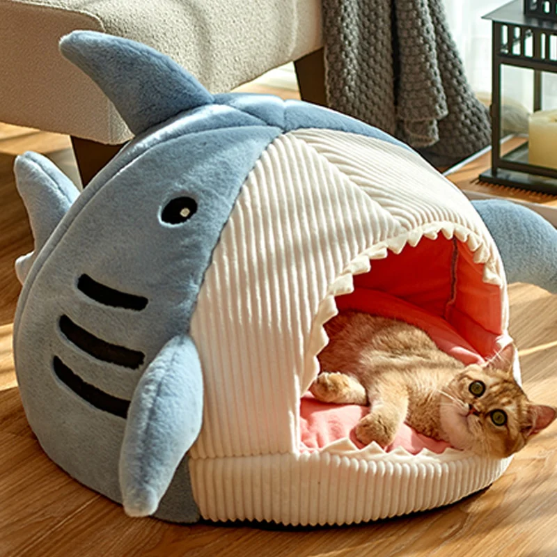 Caminha para gatinhos - Baby Shark - Image 3