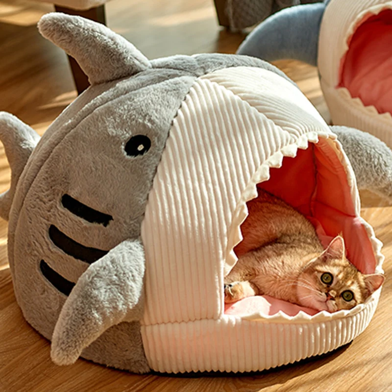 Caminha para gatinhos - Baby Shark - Image 4