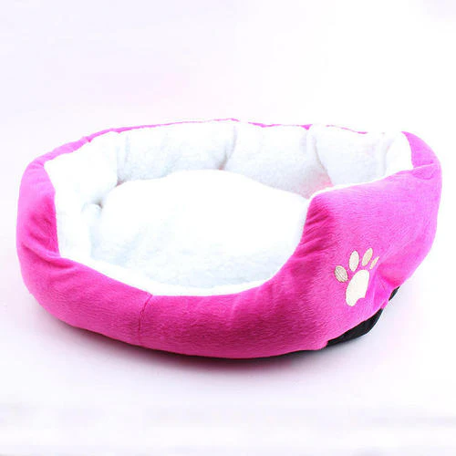 Caminha para gatinhos - Buffy ® - Image 4