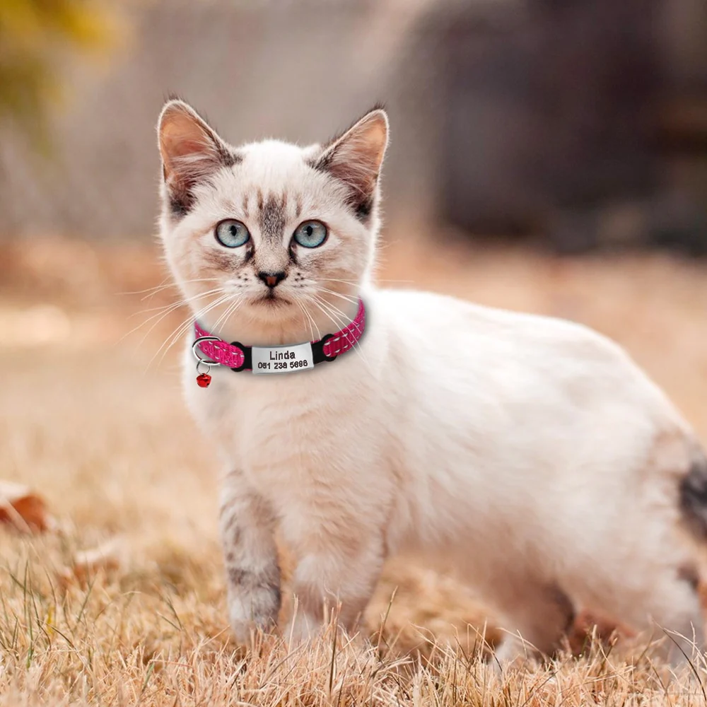 Coleira para gatos personalizada - Image 5