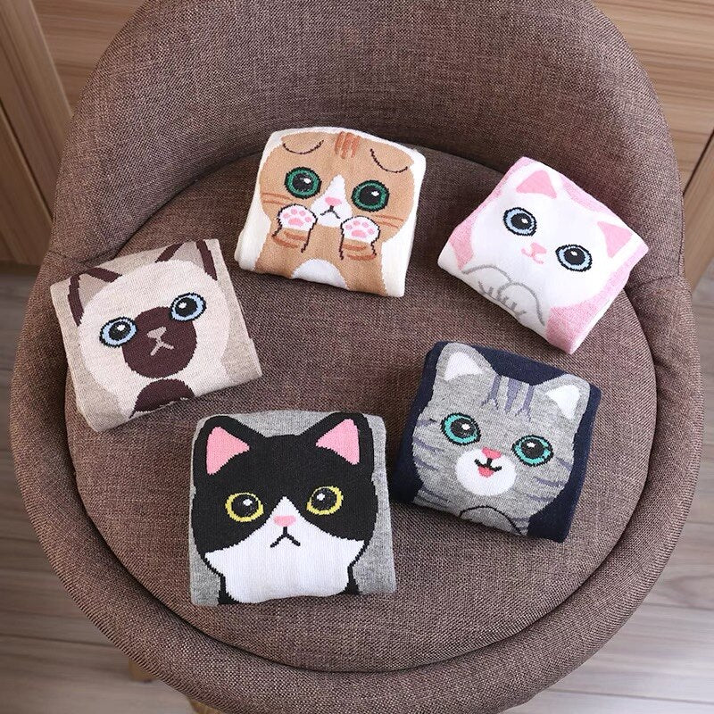 Kit 5 pares Meias femininas - Miau - Image 6